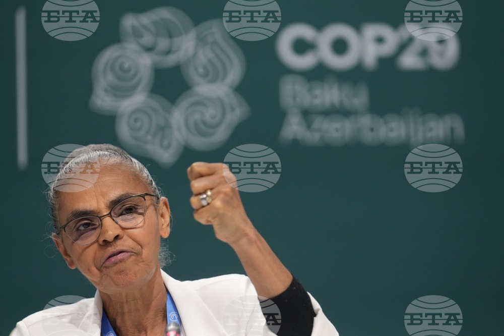 COP29 Makes Progress in Development of Global Carbon Market