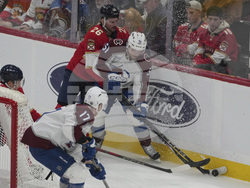 Avalanche Panthers Hockey