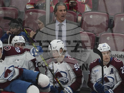 Avalanche Panthers Hockey