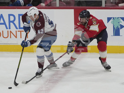 Avalanche Panthers Hockey