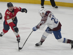 Avalanche Panthers Hockey