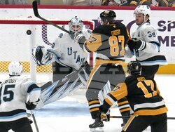 Utah Penguins Hockey