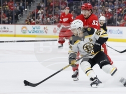 Bruins Red Wings Hockey