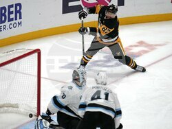 Utah Penguins Hockey
