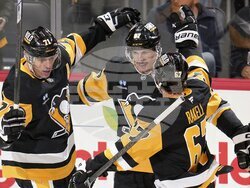 Utah Penguins Hockey