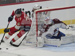 Avalanche Panthers Hockey
