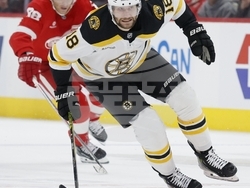 Bruins Red Wings Hockey