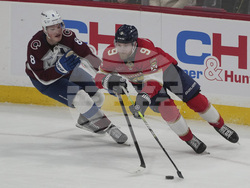 Avalanche Panthers Hockey