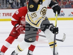Bruins Red Wings Hockey