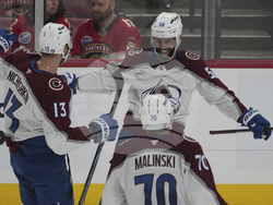 Avalanche Panthers Hockey
