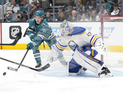 Sabers Sharks Hockey