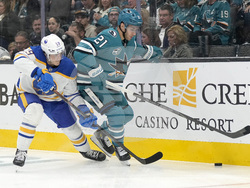Sabers Sharks Hockey