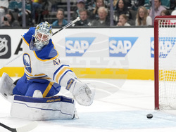 Sabers Sharks Hockey