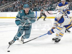 Sabers Sharks Hockey