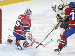 Knights Canadiens Hockey