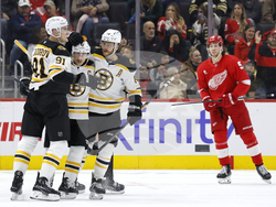 Bruins Red Wings Hockey