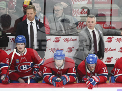Knights Canadiens Hockey