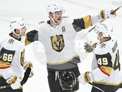 Knights Canadiens Hockey