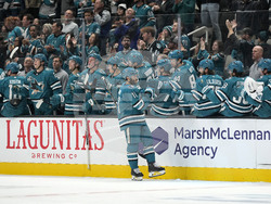 Sabers Sharks Hockey