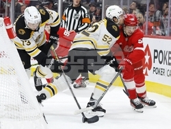 Bruins Red Wings Hockey