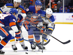Blues Islanders Hockey
