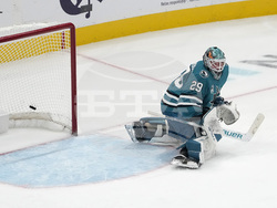 Sabers Sharks Hockey