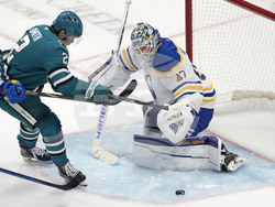 Sabers Sharks Hockey