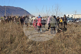 Враца - засаждане на 500 дървета