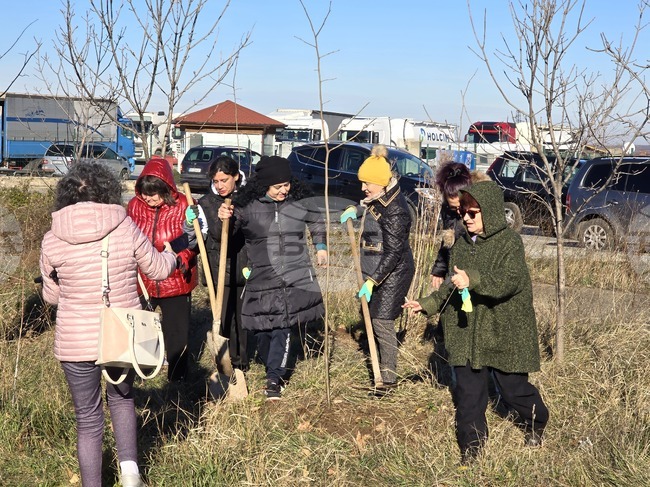 Кампанията „Зелена Враца“ продължава този петък със засаждане на нови 2000 дървета