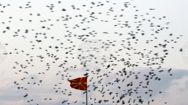 Suspicions of Espionage over Alleged Leaks from North Macedonia President’s Office Draw Attention