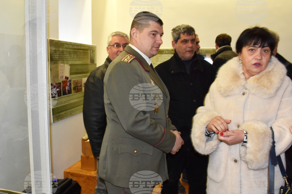 Видин - изложба