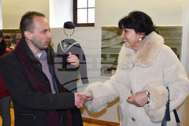 Видин - изложба