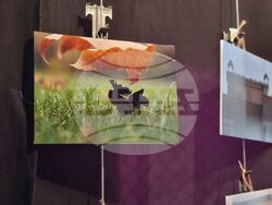 Ямбол - младежки фотомаратон - награждаване и изложба