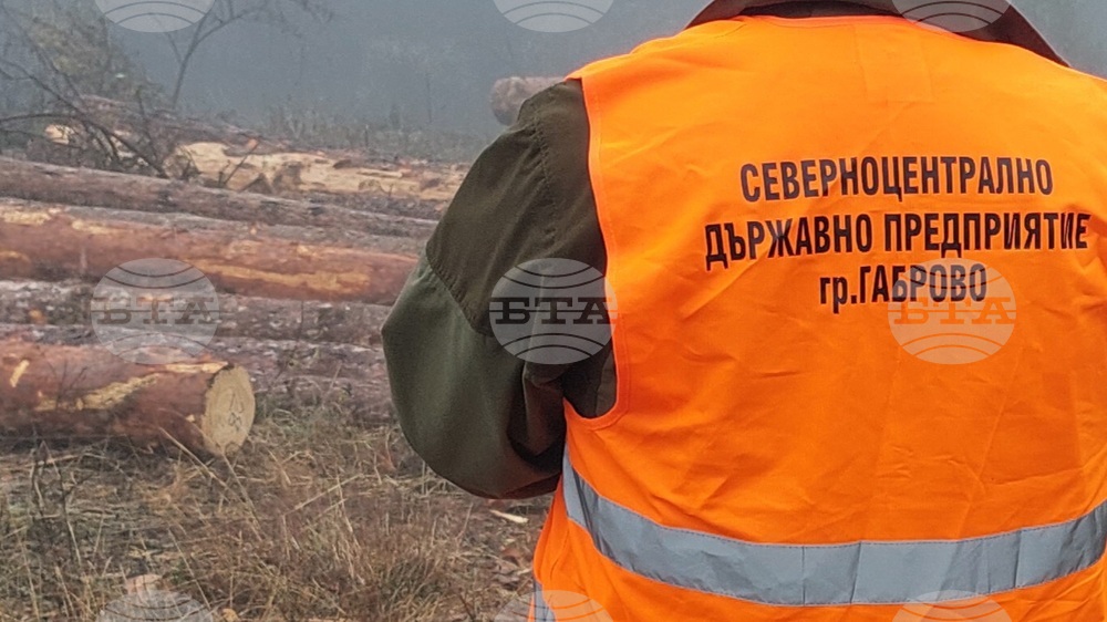 В горите на "Северноцентрално държавно предприятие" ДП – Габрово са извършени 33 270 проверки през 2022 година