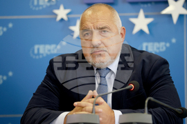 ГЕРБ - брифинг