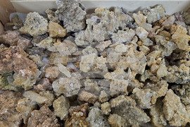 Петрич - Общински детски комплекс - работилница - млад изследовател