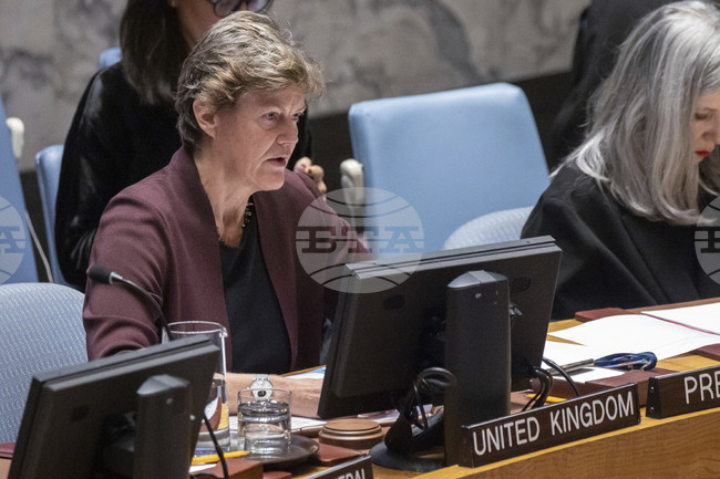 Депортацията на деца от Украйна в Русия цели да заличи украинската култура, заяви британският посланик в ООН