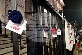 Международен ден за елиминиране на насилието срещу жени - протест