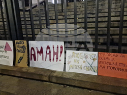 Международен ден за елиминиране на насилието срещу жени - протест