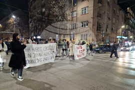 Международен ден за елиминиране на насилието срещу жени - протестно шествие