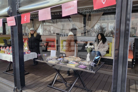 Видин - фотоизложба