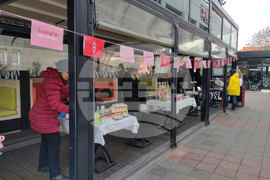 Видин - фотоизложба