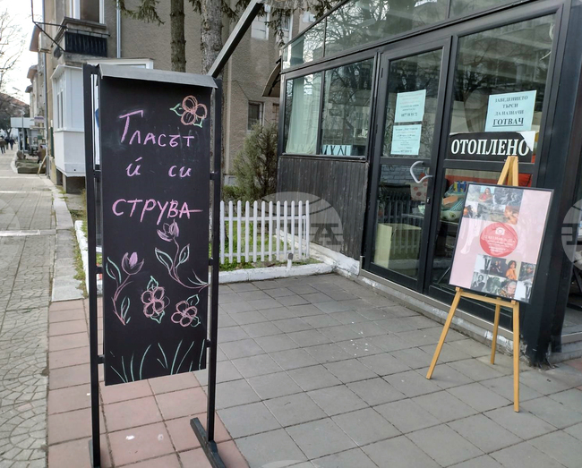 Видин - фотоизложба