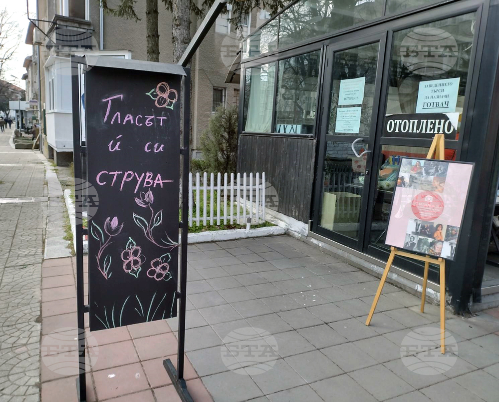 Видин - фотоизложба