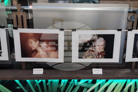 Видин - фотоизложба