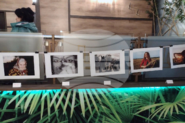 Видин - фотоизложба