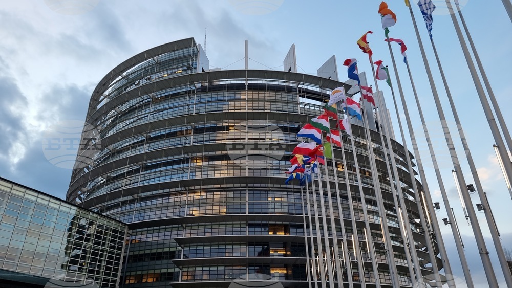 Франция - Страсбург - Андрей Новаков - интервю