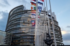 Франция - Страсбург - Андрей Новаков - интервю