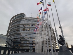 Франция - Страсбург - Андрей Новаков - интервю