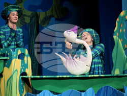 Варна - Държавен куклен театър - „Горделивият гъсок” - премиера